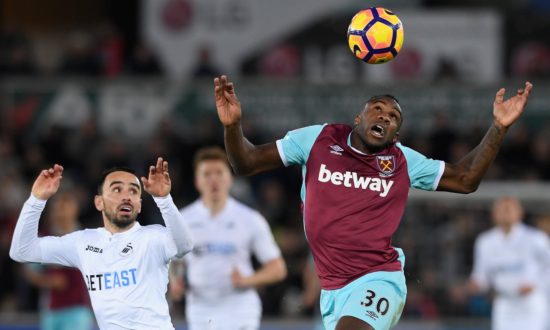 也将在广泛 也将在广泛